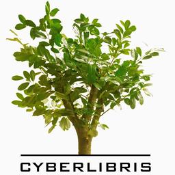 Cyberlibris - ScholarVox | 